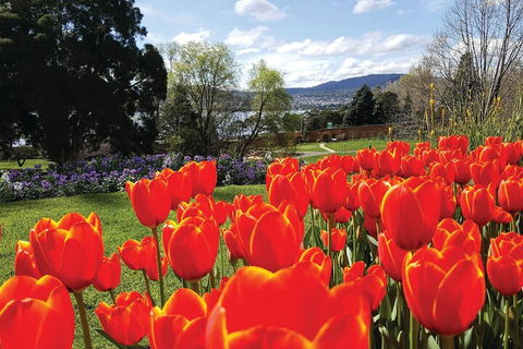 Hobart City Sightseeing Tour Including MONA Admission - Restaurant Gold Coast 4