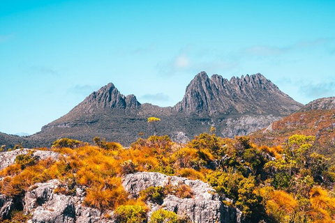 Cradle Mountain National Park Day Tour From Launceston - Restaurant Gold Coast 1