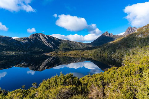 Cradle Mountain National Park Day Tour From Launceston - Restaurant Gold Coast 3