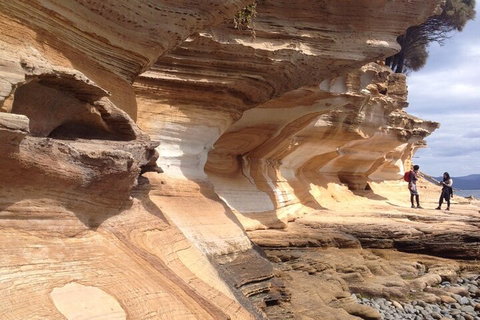 Hobart Minibus Full-Day Private Tour - Restaurant Gold Coast 0