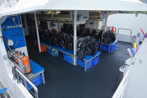 Silverswift Outer Great Barrier Reef Dive And Snorkel Cruise From Cairns - Restaurant Gold Coast 0