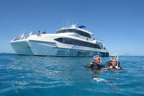Silverswift Outer Great Barrier Reef Dive And Snorkel Cruise From Cairns - Restaurant Gold Coast 4