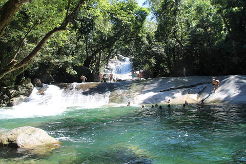 Double Pack-Ancient Rainforest And Waterfalls! - Restaurant Gold Coast 2