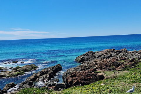 Private Custom Byron Bay Day Out - Restaurant Gold Coast 4