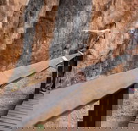 Chillagoe Caves and Outback Day Trip from Cairns - Restaurant Gold Coast