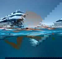 3 Day Great Barrier Reef Daintree Rainforest and Outback Chillagoe Tour - Restaurant Gold Coast