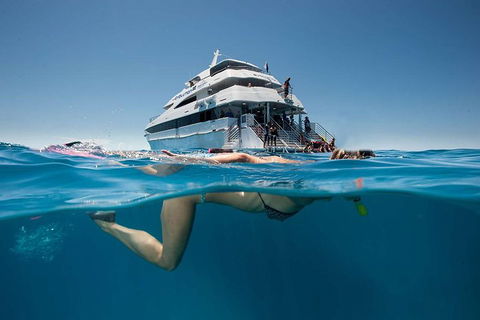 3 Day Great Barrier Reef, Daintree Rainforest And Outback Chillagoe Tour - Restaurant Gold Coast 0