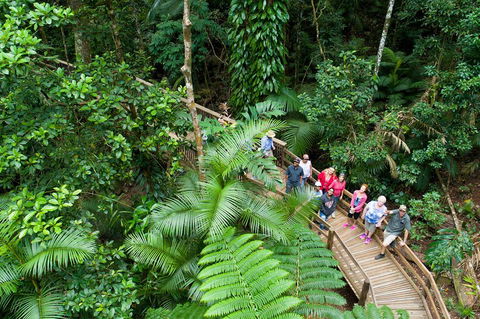 3 Day Great Barrier Reef, Daintree Rainforest And Outback Chillagoe Tour - Restaurant Gold Coast 2
