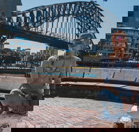 Sydney Private Tours by Locals 100 Personalized See the City Unscripted - Restaurant Gold Coast