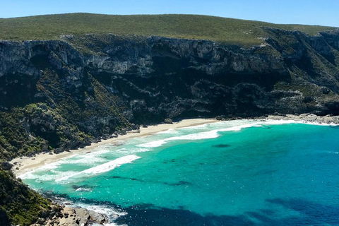 Kangaroo Island Scenic Trail Tour - Restaurant Gold Coast 4