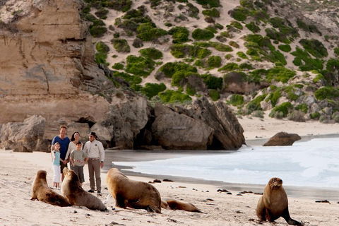 Kangaroo Island Scenic Trail Tour - Restaurant Gold Coast 5