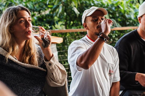 Full-Day Tour To Byron Bay Best Food And Drink Spots - Restaurant Gold Coast 1