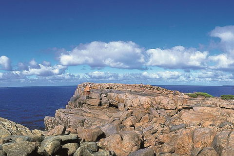 4 Day Tour: Albany, Margaret River, Valley Of The Giants TreeTop Walk From Perth - Restaurant Gold Coast 0