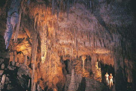 4 Day Tour: Albany, Margaret River, Valley Of The Giants TreeTop Walk From Perth - Restaurant Gold Coast 1