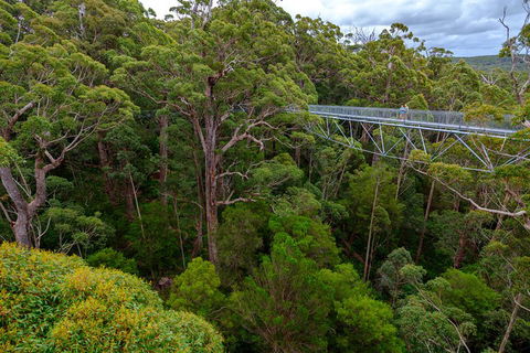 4 Day Tour: Albany, Margaret River, Valley Of The Giants TreeTop Walk From Perth - Restaurant Gold Coast 4