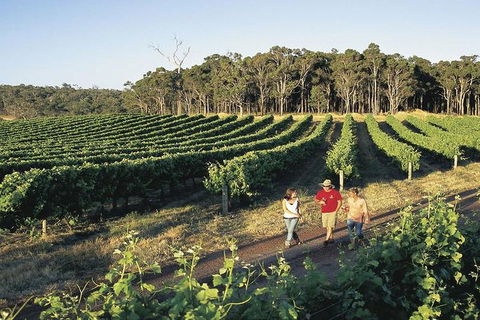 2-Day Margaret River Wine Experience From Perth - Restaurant Gold Coast 3