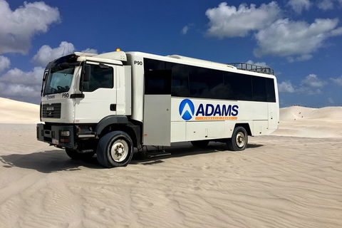 Pinnacles Desert, Koalas And Sandboarding 4WD Day Tour From Perth - Restaurant Gold Coast 2