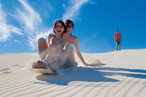 Pinnacles Desert, Koalas And Sandboarding 4WD Day Tour From Perth - Restaurant Gold Coast 3