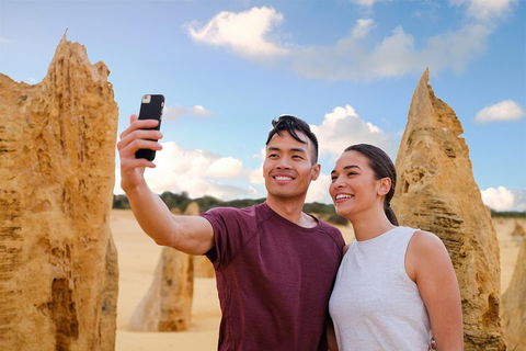 Pinnacles Desert, Koalas And Sandboarding 4WD Day Tour From Perth - Restaurant Gold Coast 4