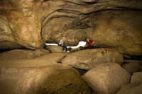 2-Day Wave Rock York Wildflowers  Aboriginal Experience, Perth