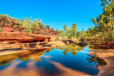 7-Day Guided Tour Of Alice Springs With Accommodation Included - Restaurant Gold Coast 1