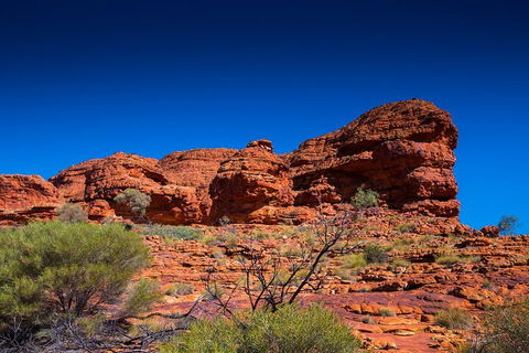 7-Day Guided Tour Of Alice Springs With Accommodation Included - Restaurant Gold Coast 4