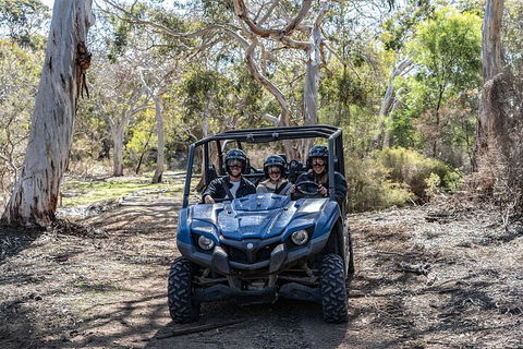 Small-Group Buggy Tour At Little Sahara With Guide - Restaurant Gold Coast 0