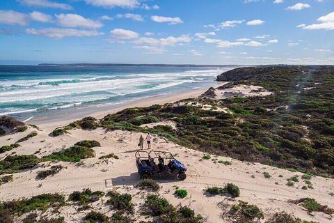 Small-Group Buggy Tour At Little Sahara With Guide - Restaurant Gold Coast 1