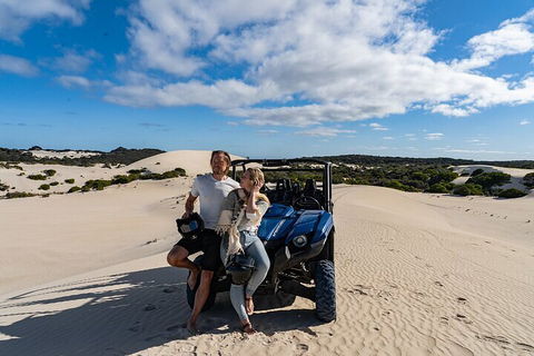 Small-Group Buggy Tour At Little Sahara With Guide - Restaurant Gold Coast 2