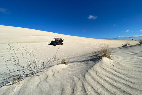 Small-Group Buggy Tour At Little Sahara With Guide - Restaurant Gold Coast 3