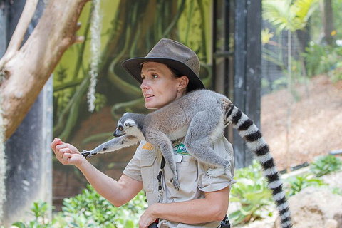Currumbin Wildlife Sanctuary General Entry Ticket - Restaurant Gold Coast 1
