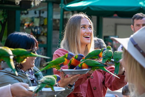 Currumbin Wildlife Sanctuary General Entry Ticket - Restaurant Gold Coast 3