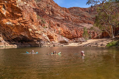 Private 9 Hour Walk And Waterhole Tour In West MacDonnell Ranges - Restaurant Gold Coast 2