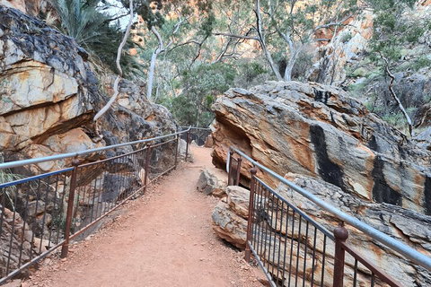 West MacDonnell Ranges Half - Day Tour - Restaurant Gold Coast 0