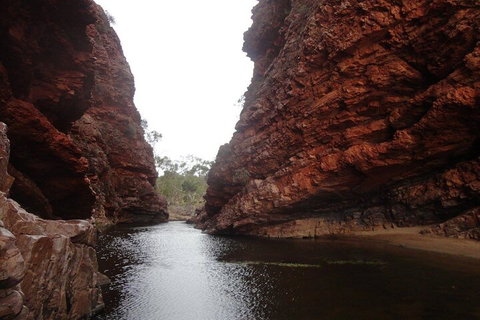 West MacDonnell Ranges Half - Day Tour - Restaurant Gold Coast 4