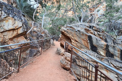 West MacDonnell Ranges Half-Day Private Charter Guided Tour - Restaurant Gold Coast 0