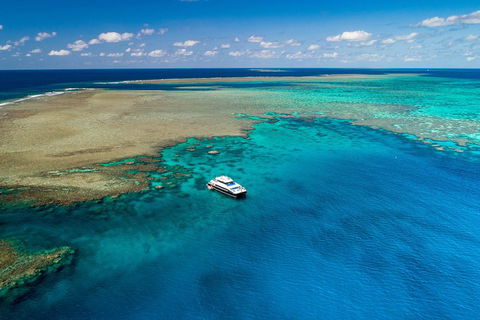 Calypso Outer Great Barrier Reef Cruise From Port Douglas - Restaurant Gold Coast 1