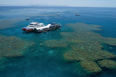 Cruise to Moore Reef Pontoon and Return Helicopter Flight from Cairns