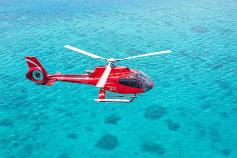 Cruise To Moore Reef Pontoon And Return Helicopter Flight From Cairns - Restaurant Gold Coast 1
