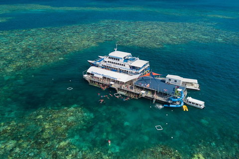 Cruise To Moore Reef Pontoon And Return Helicopter Flight From Cairns - Restaurant Gold Coast 2