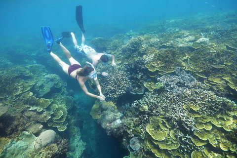Cruise To Moore Reef Pontoon And Return Helicopter Flight From Cairns - Restaurant Gold Coast 3