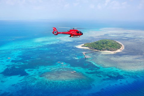 Fly To Green Island - Cruise Return - Restaurant Gold Coast 3