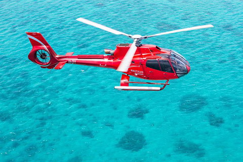 Helicopter And Cruise Packages From Port Douglas - Restaurant Gold Coast 5