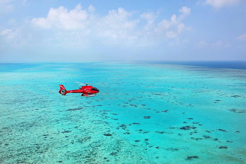 Port Douglas - Cruise And 10 Minute Scenic Flight - Restaurant Gold Coast 1