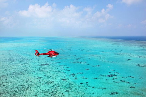 Great Barrier Reef 30-Minute Scenic Helicopter Tour From Cairns - Restaurant Gold Coast 2