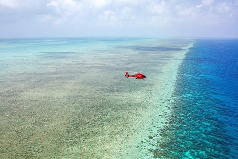 Great Barrier Reef 30-Minute Scenic Helicopter Tour From Cairns - Restaurant Gold Coast 5