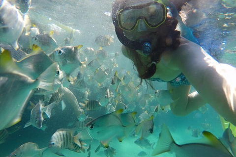 Moreton Island Snorkel And Sandboarding 4WD Day Trip From Brisbane - Restaurant Gold Coast 3