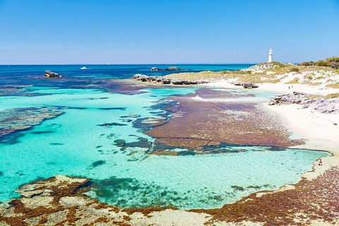 Fremantle To Rottnest Island Roundtrip Ferry Ticket - Restaurant Gold Coast 2