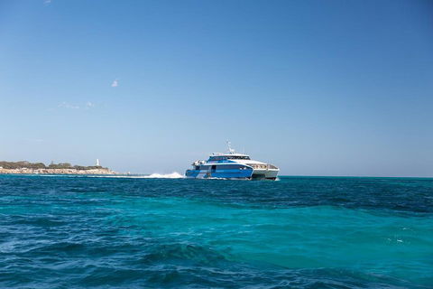Fremantle To Rottnest Island Roundtrip Ferry Ticket - Restaurant Gold Coast 5