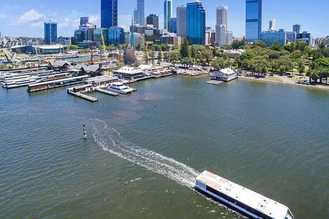 Summer Lunch Cruise - Restaurant Gold Coast 2